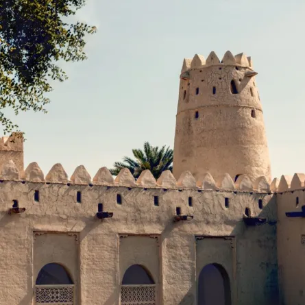 تدشين موسوعة تاريخ الإمارات العربية المتحدة - الصورة من موقع مكتب أبوظبي الإعلامي على الإنترنت