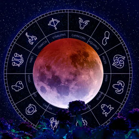 مواليد هذه الأبراج يحبون الغموض