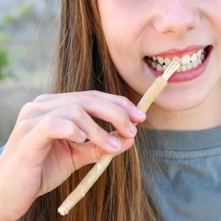 فوائد السواك للأسنان.. لن تصدقي مفاعيله السحرية (المصدر: Shutterstock)