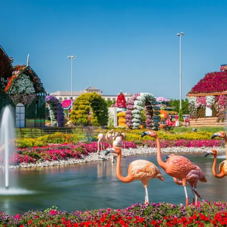 جولة على الحدائق الجذابة في دبي 