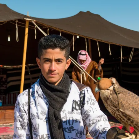 تفسير حلم الصقر