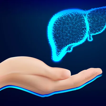 الكبد يتعرض للتلف بسبب السموم- المصدر freepik