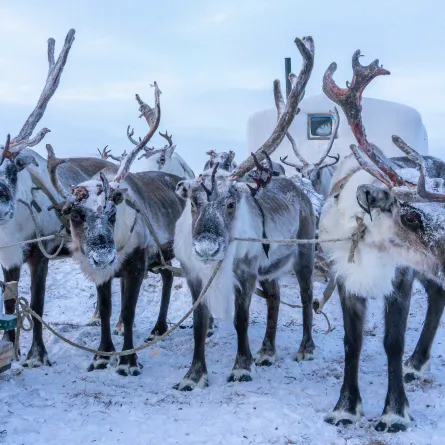 صورة تعبيرية