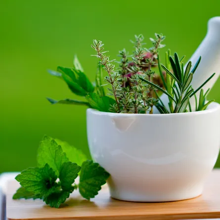 فوائد ومضار عشبة المليسا.. تحسين الذاكرة وخفض ضغط الدم حسب دكتورة تغذية 