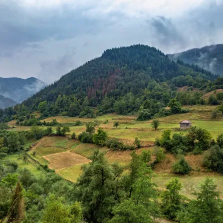 حماية الجبال