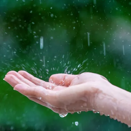 تفسير المشي تحت المطر في المنام