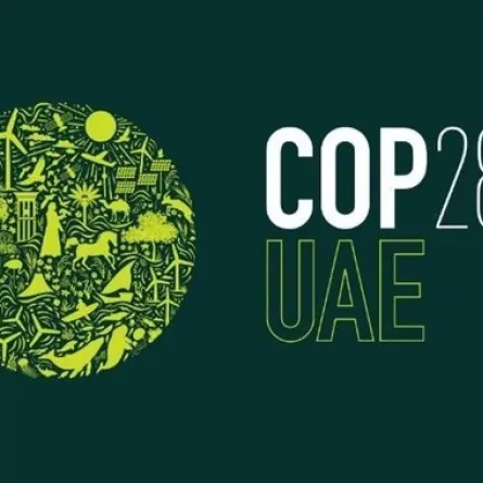 جائزة دبي الدولية لأفضل ممارسات التنمية المستدامة" تعرض نموذجها العالمي في COP28