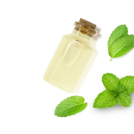 زيت النعناع لتنظيف منزلك وتعطيره