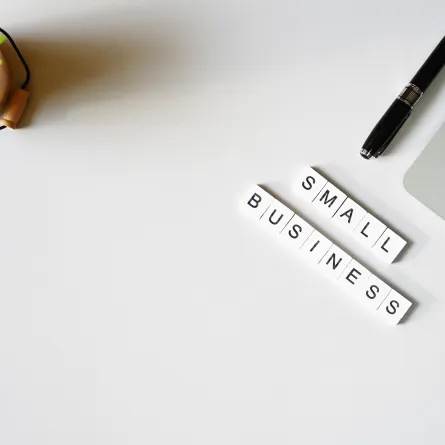 مخاطر المشاريع الصغيرة 