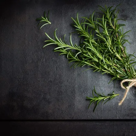 إكليل الجبل