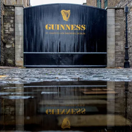 حصاد 2023: أبرز الأرقام القياسية التي دخلت موسوعة غينيس خلال هذا العام