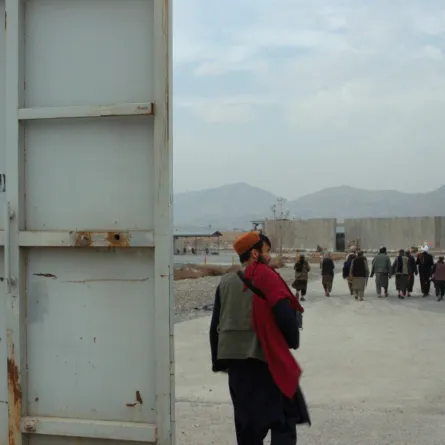 بوستر فيلم Hollywoodgate - الصورة من المركز الإعلامي للمهرجان