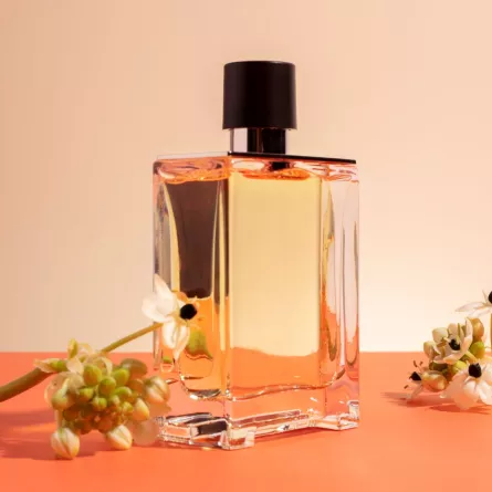 عطور فرنسية فخمة