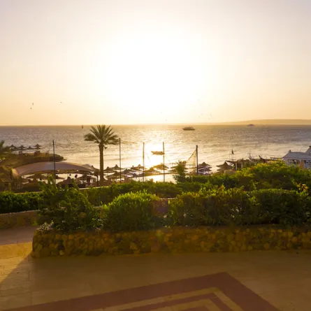 تعتبر مدينة الجونة من أجمل الوجهات السياحية في مصر- (مصدر الصورة: موقع envato)