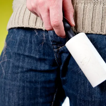 تنظيف الملابس ومن الشعر والوبر