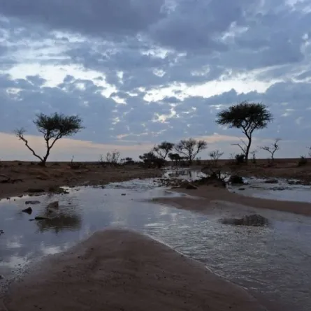 جمعية الإمارات للفلك: اليوم بدء دخول "أربعين المريعي" 