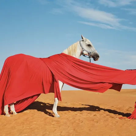 ياسمين باقر رياضية اليوغا الهوائية