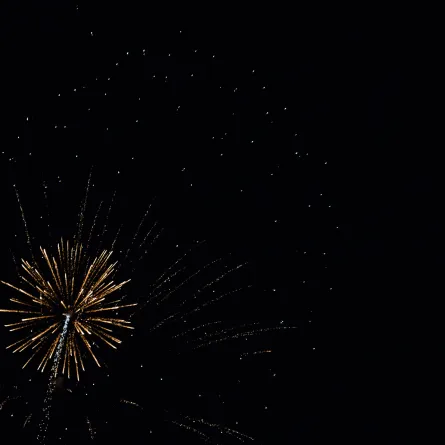 فلكية جدة: العام الجديد سيكون 366 يوماً - pexels by prathyusha mettupalle