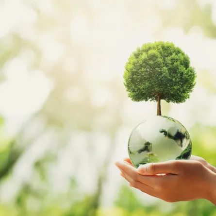 أفكار مشاريع مستدامة يزداد الإقبال عليها مستقبلًا.. "الصورة من Adobestock"
