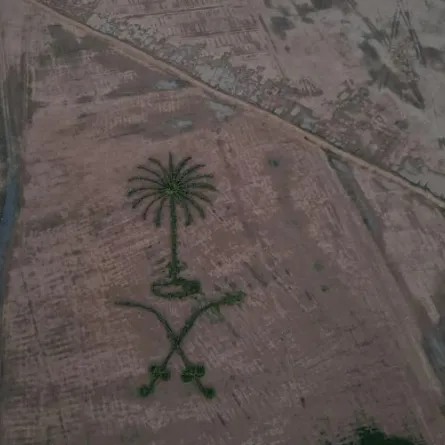 مواطن سعودي يزين محافظة رفحاء بشعار المملكة.. دعماً لمبادرة السعودية الخضراء - الصورة من واس