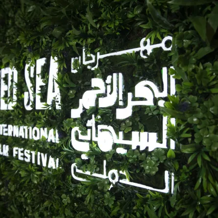 الصورة من حساب المهرجان على الفيس بوك