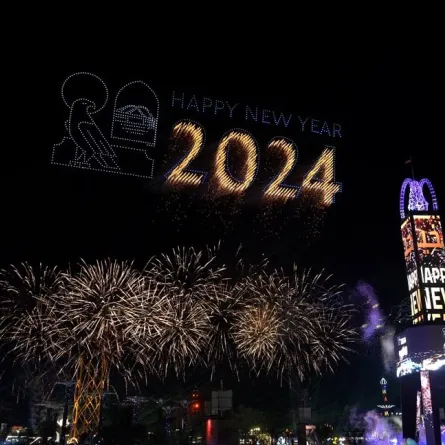 مهرجان الشيخ زايد يحطم 4 أرقام قياسية جديدة في موسوعة غينيس. الصورة من wam