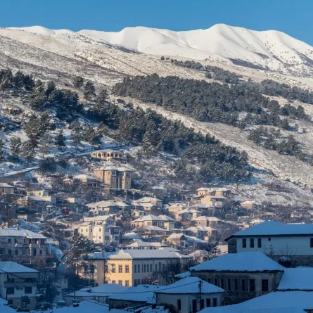 زيارة شتوية إلى أليانيا 