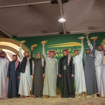 كأس العلا للصقور