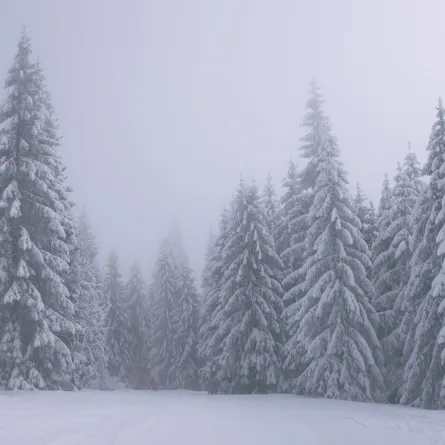 تفسير حلم رؤيا الثلج في المنام