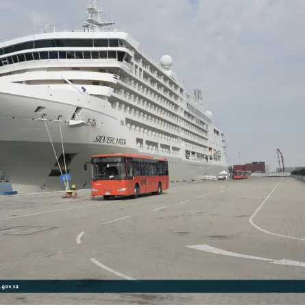 سفينة الكروز Silver