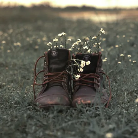 تفسير حلم ضياع الحذاء