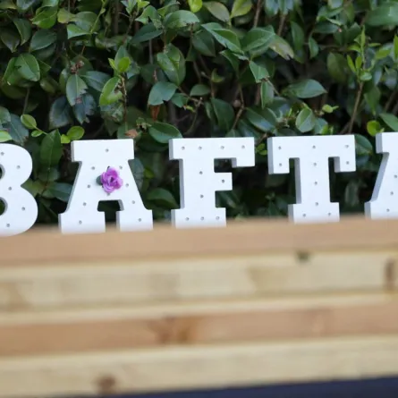 بافتا (BAFTA). مصدر الصورة: Frazer Harrison/Getty Images for BAFTA/AFP