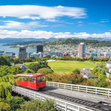 نصائح أساسية عند السفر إلى نيوزيلندا 