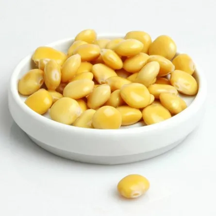 فوائد الترمس وزهوره.. للصحة الجلدية وخسارة الوزن خصوصاً