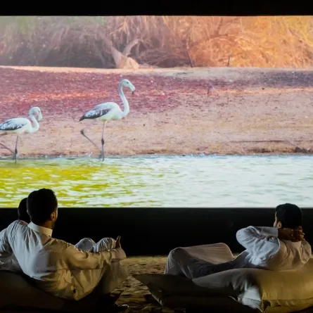   "قصص ترويها الطبيعة" شعار "دبي للثقافة" لإطلاق مهرجان "المرموم 3"