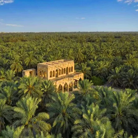 الأحساء هي واحة جميلة تقع في المنطقة الشرقية بالسعودية