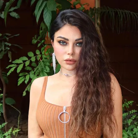 هيفاء وهبي - الصورة من حسابها على إنستغرام