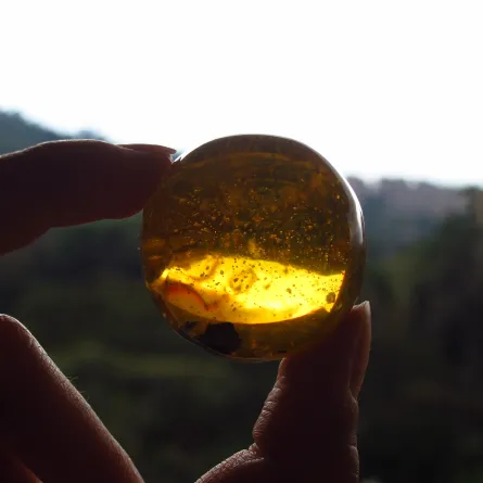 انطلاق معرض كتارا الدولي للكهرمان. الصورة من موقع unsplash by Natalia Soto