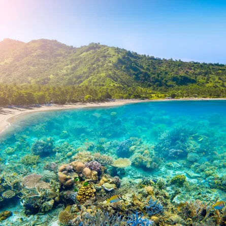 جولة على الشواطئ المفضلة في جزيرة لومبوك الإندونيسية 