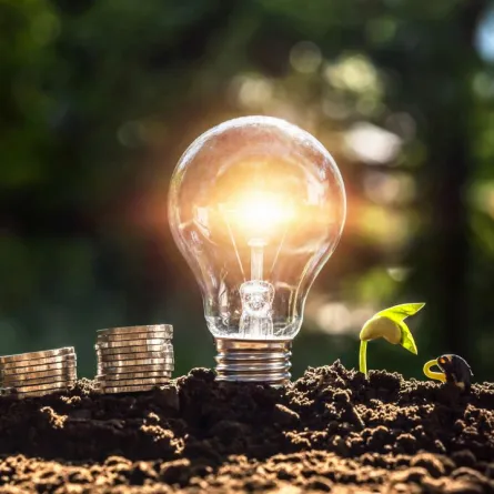 أهم النصائح والإرشادات لتبدئي مشروعاً ناجحاً برأسمال صغير "الصورة من Adobestock"