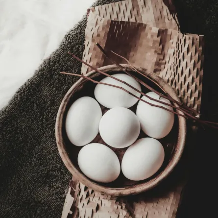 تفسير حلم البيض 