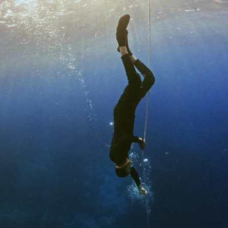 رياضة الغوص ومتعة اكتشاف أعماق البحر ومكنوناته