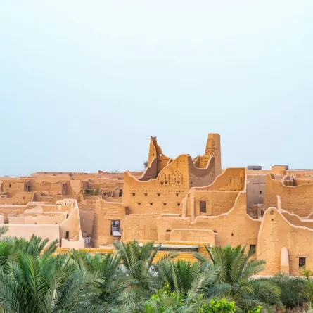 منظر عام للدرعية التاريخية 