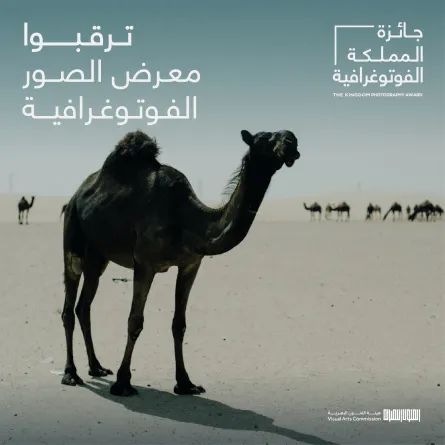 هيئة الفنون البصرية تُعلن تنظيم معرض "الحسا حسانا" في جدة.. فبراير المقبل