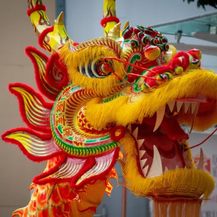 رأس التنين الأسطوري