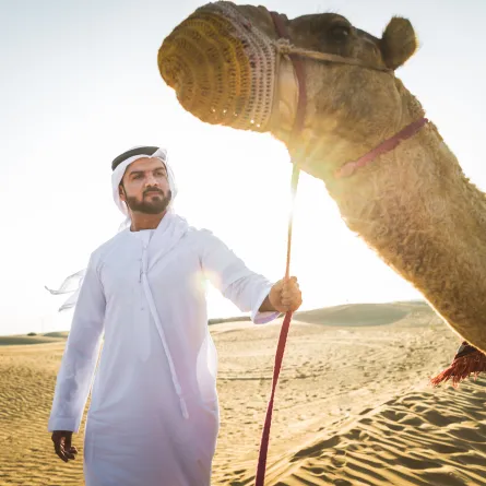 مكانة الإبل في الأمثال العربية