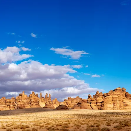 العلا وجهة تحمل الكثير من الأهمية التاريخية