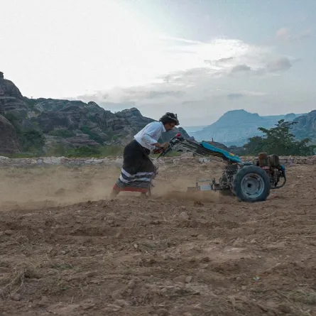 الميكنة الزراعية قلّلت تكلفة زراعة المحاصيل بنسبة 70%