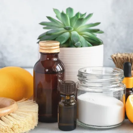 تنظيف المنزل بصورة مستدامة