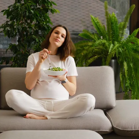 حامل تأكل الخبيزة